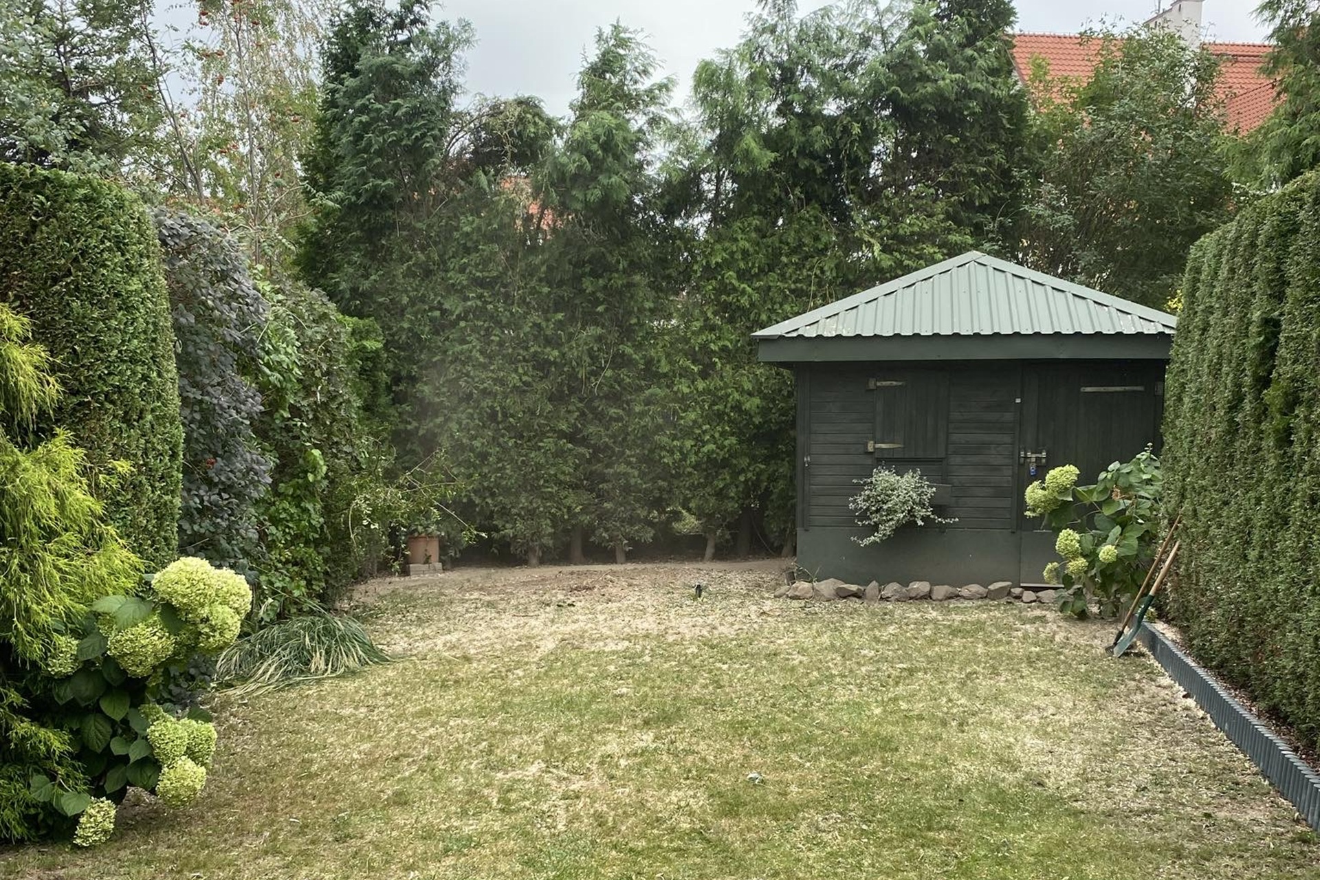 Pielęgnacja zieleni miejskiej i osiedlowej - jak wygląda profesjonalne koszenie traw?