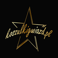 Logo koszulkigwiazd.pl